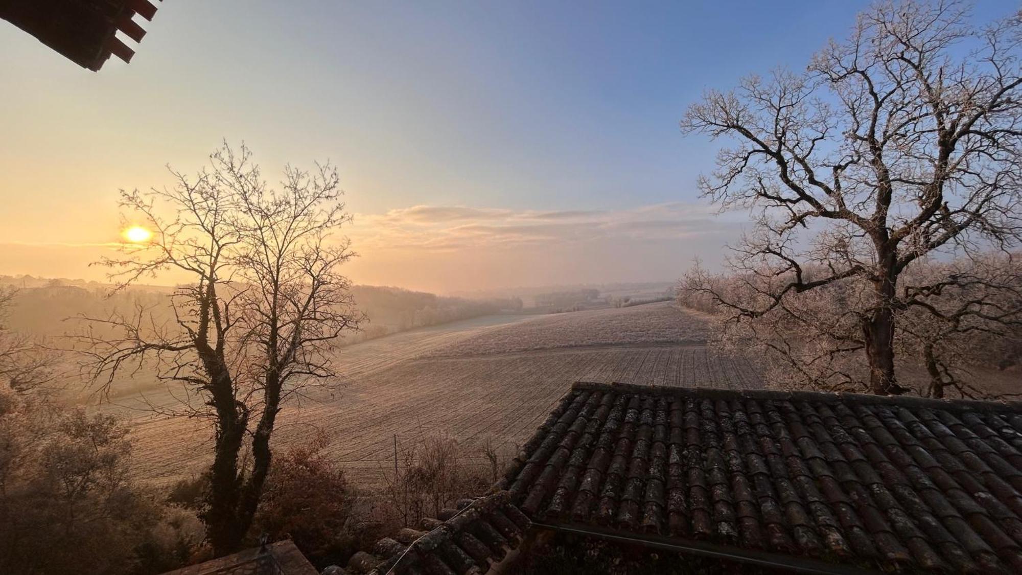 Chambres D'Hotes Dans Un Chateau Au Coeur De La Toscane Occitane Albi-Cordes-Rabastens Senouillac 外观 照片